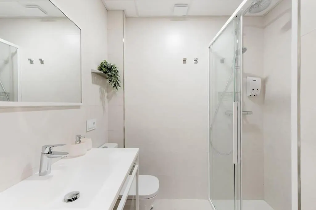 Atico C/ Adriano_Catedral. Apartment Seville Spain